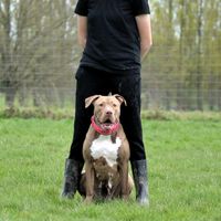 emma_training__