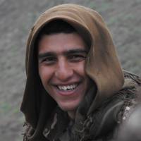 tolhildan_simko