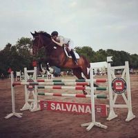 _mh_equestrian_95