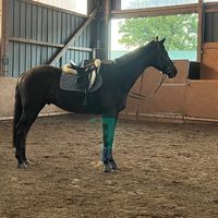 lilly_karino