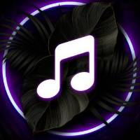 TikTok Account - song_lyrics127