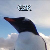 gen_zkidtt