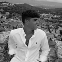 palomek_09
