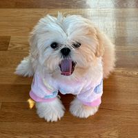 nala_laprincesa