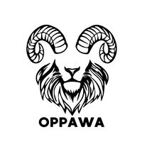 oppawa.coaching