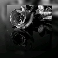 TikTok Account - https://p16-pu-ie.tiktokcdn-eu.com/tos-useast2a-avt-0068-euttp/c8f5472455f53865c3fe8e5405c5d3d0~tplv-tiktokx-cropcenter:200:200.jpeg