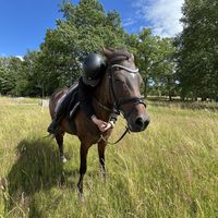 isabell.svenssson