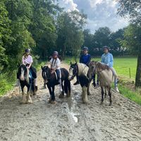 emsland_laraaa