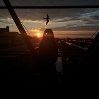 katharina_20069