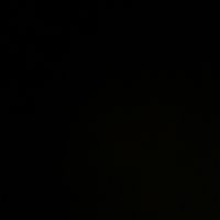 TikTok Account - https://p16-pu-ie.tiktokcdn-eu.com/tos-useast2a-avt-0068-euttp/cf89795415dfe0a8bfec8b19d28f2aee~tplv-tiktokx-cropcenter:200:200.jpeg