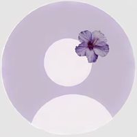nev1nn._19