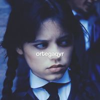 ortegaqvr