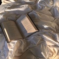 booklover_3003