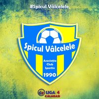 spiculvalcelele