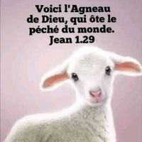 user2924768214295