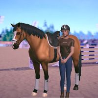 equestrian.horse66