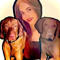 the_world_of_3_vizslas