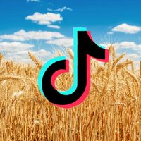 agrivideo_