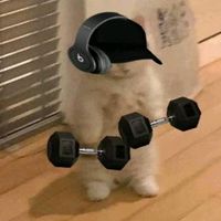 shietpost_