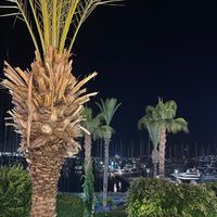 sarah_57800