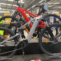 your_daily_fisherman