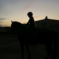 vero_hap09