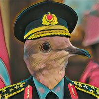 the_disrespectful_pigeon