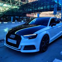 dudek_97