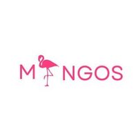 mingosattudorenterprise