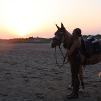 cl.equestrian