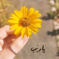 farahkasemaga1