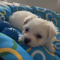 babytoto14