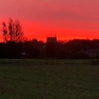 unknown0101_919