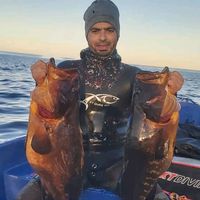 spearfishing_athman23