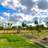 simplevillage.365