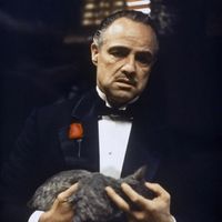 TikTok Account - https://p16-pu-ie.tiktokcdn-eu.com/tos-useast2a-avt-0068-euttp/e4cd090d123a1377c2553b31d548085a~tplv-tiktokx-cropcenter:200:200.jpeg