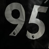 .e2.95