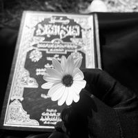 veiledwahhabiyah