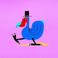 TikTok Account - https://p16-pu-ie.tiktokcdn-eu.com/tos-useast2a-avt-0068-euttp/e903094e1499b4dafec5c806660274df~tplv-tiktokx-cropcenter:200:200.jpeg