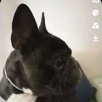 yago0606