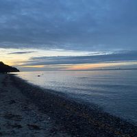lilly_1692