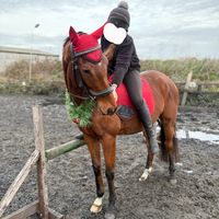 ameliaandhorses5