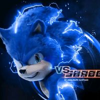 sonicandamy08