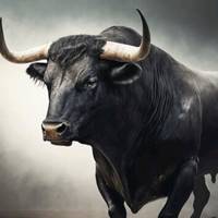 mundodeltoro0