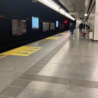 diese_eine751