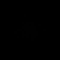 miuandrei07