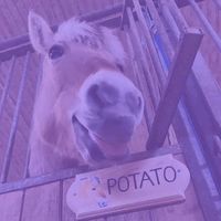 heartstopper.lover20