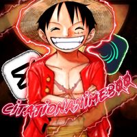 citationanime800
