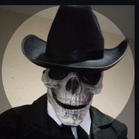 wardy66697
