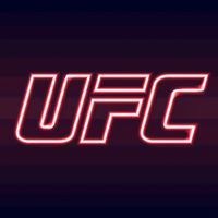 futuremmafighter2